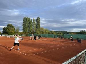 IMG 4251
