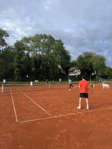 IMG 4266